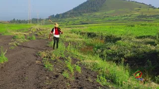 Shaggar Galuufani Sirba Haarawa By Booharaa Birhaanuu 