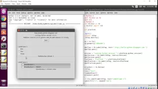 Python Tkinter ttk LabelFrame