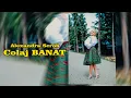 Download Lagu Alexandra Scrob și formația  - Colaj Banat LIVE ! Botez Ayana Maria - Săpânța