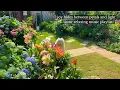 Lagu joy hides between petals and light - /asmr relaxing music playlist/