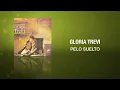 Pelo Suelto (Cover Audio) - Gloria Trevi