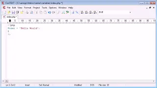 Beginner PHP Tutorial 16 Variables