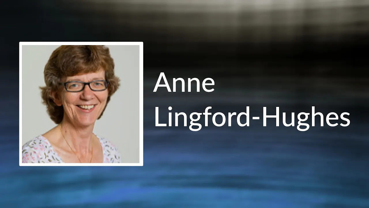 Professor Anne Lingford Hughes - The Role of Neuroscience in Influencing National Addiction Policy