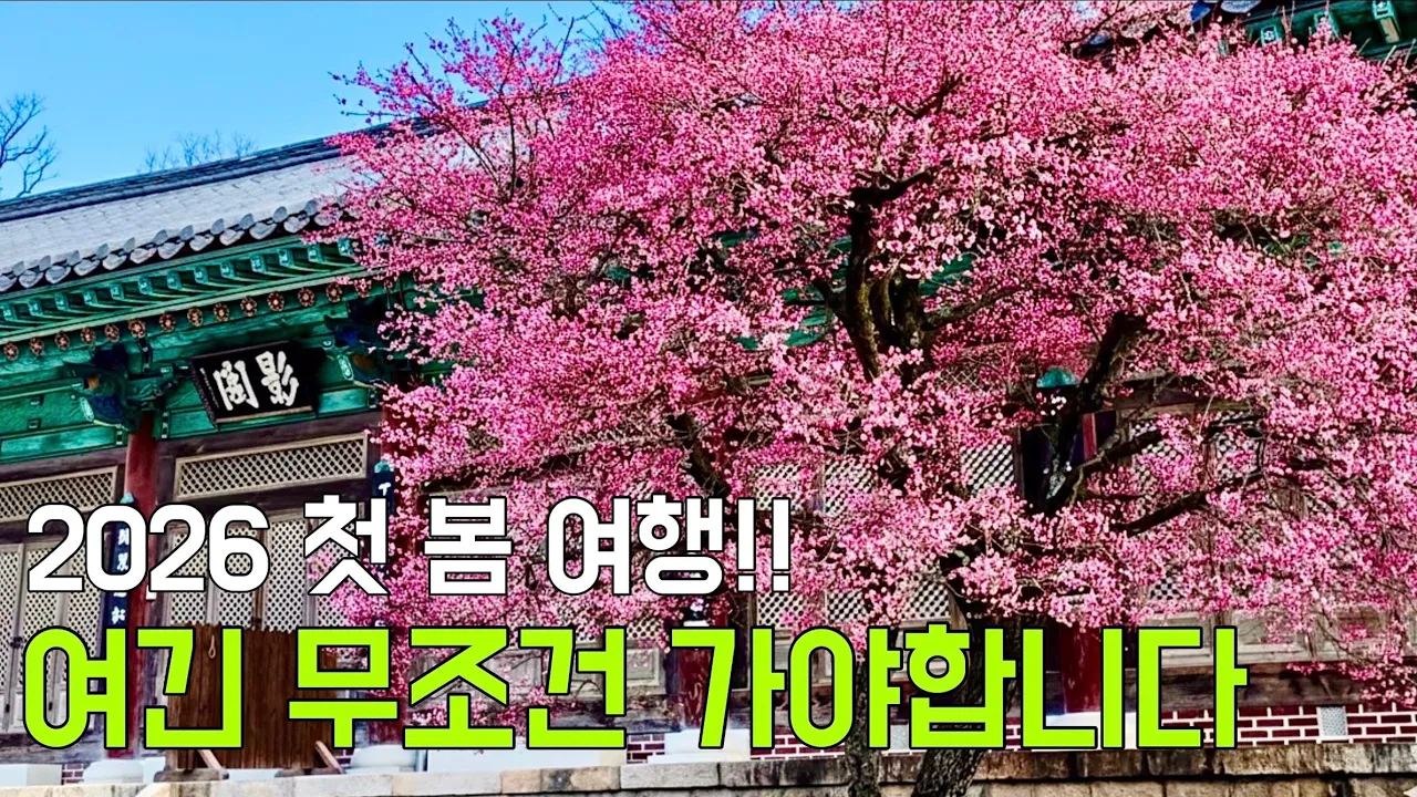 관련 영상 썸네일