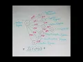 COMP 380 Programming Assignment