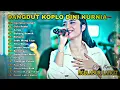 Lagu DINI KURNIA - FULL ALBUM | NGELABUR LANGIT, GULU PEDOT ACLAK | LAGU OSING BANYUWANGI VIRAL TERLARIS