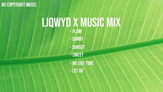 Download LiQWYD x Music mix 🎵 Free No Copyright Music Of The Year 2022 MP3