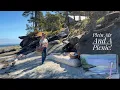 Plein Air And A Picnic Acrylic Tutorial
