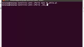 Perl Do While Loop Example