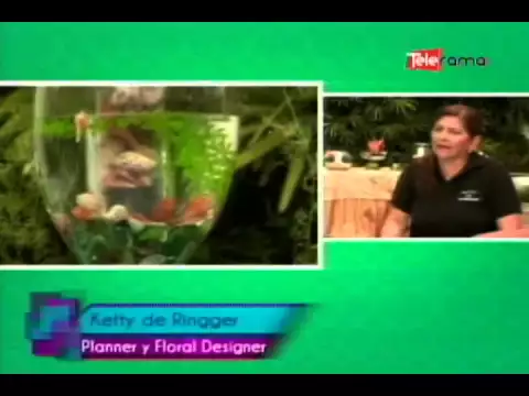 Tendencia en decoración playera 2015