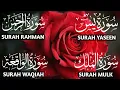 Download Lagu Surah Yaseen ❤ Surah Rahman ❤ Surah Al Waqia ❤ Surah Al mulk Soothing Quran recitation | Ep000234