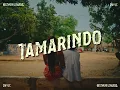 Motherflowers - TAMARINDO (Visualizer)
