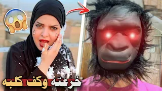 سويت 20 مقلب بهمسة وصارت مشكلة 