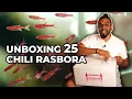 UNBOXING 25 CHILI RASBORA And Lessons Learnt