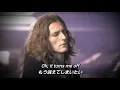 【和訳】The Strokes - Last Nite