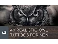 40 Realistic Owl Tattoos For Men