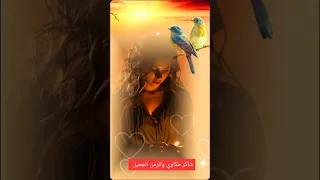 بحر ابوجريشة اتذكر الماضي البعيد ترند اكسبلور اغاني زمان شاكر مكاوي والزمن الجميل ابيض واسود 