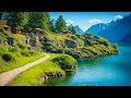 Download Lagu All your worries will disappear if you listen to this music🌿 Relaxing music calms the nerves