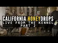THE CALIFORNIA HONEYDROPS, Just One More