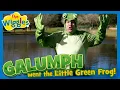 Galumph Went the Little Green Frog Nursery Rhyme about Animals The Wiggles Kids Songs