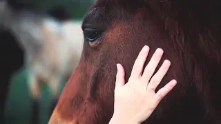 ورجوت عيني ان تكف دموعها اداء عمر احمد العنزى دندنها