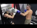 Sean Strickland Vs Japanese Kickboxer - FULL SPARRING