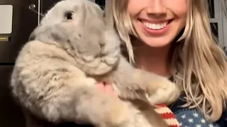 Woman brings home meat bunny He starts to act like a dog