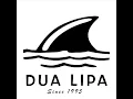 Dua Lipa vs. Todd Terje - Eurodans x Houdini [Mashup]