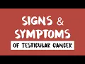 Lagu Testicular Cancer   Signs \u0026 Symptoms