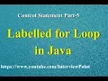 Labelled for loop in Java Control Statement in java Part-5 D K Gautam