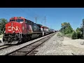 BCOL 4642 trails CN M346 plus B790 in Prospect Heights