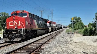 BCOL 4642 trails CN M346 plus B790 in Prospect Heights