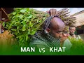 Lagu KHAT IN SOMALILAND HARGEISA
