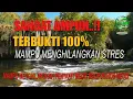 Download Lagu BACAAN AL-QUR'AN DAN SUARA ALAM YANG SANGAT MERDU /RELAKSASI OTAK STRES