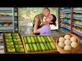 Download Lagu Cooking Skill: How to Make Super Delicious Cabbage Rolls with Meat and Dumplings | Trieu Thi Thuy