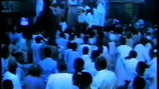 رشاد مصطفى نعناع الجنينة 