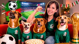 Lo mejor del MUNDIAL con los perritos de Ruth