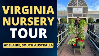 virginia nursery tour in adelaide south australia m and mm plants
