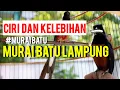 Lagu CIRI DAN KELEBIHAN MURAI BATU LAMPUNG