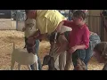 Attendance up at TN State Fair despite heat