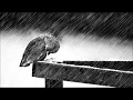 Download Lagu Cold    Jorge Méndez Sad Piano \u0026 Violin Instrumental   YouTube
