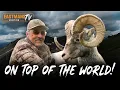 This Stone Sheep Hunt Got Serious FAST British Columbia Eastmans Hunting TV