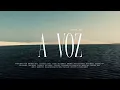 A VOZ - JOSÉ JR (visualizer)