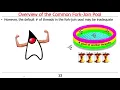 The Java Fork-Join Pool Overview of the Common Fork-Join Pool