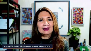 ‘Dangerous’ to elevate threshold issue to SC at this point — constitutional lawyer