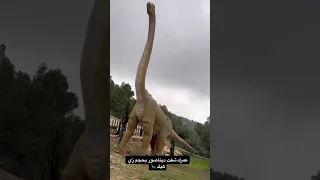 اكبر وأضخم ديناصور اكسبلور ترند Horse دويتو بيضه Pizza Pizzalover Equestrian ديناصور 