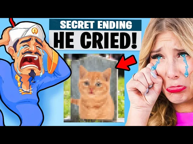 I Made The Akinator Cry…