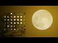 Alí Cabello - Mis ojos lloran por ti