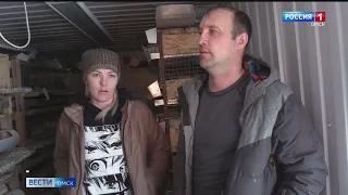 В Таре из-за внезапного отключения света погибло 780 голов перепелок