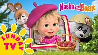 🍿📺 Sunday TV 🍂❄️ Four Seasons 🌱☀️ Best episodes cartoon collection 🎬 Masha and the Bear 2026
